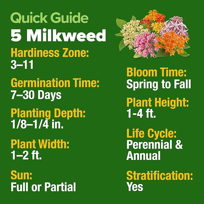 HOME GROWN Milkweed Flower Seeds - 500+ Heirloom Perennial Wildflower Seeds (5 Individual Varieties) Supports Monarch Habitat, Grows in Zones 3–10 (Asclepias syriaca)