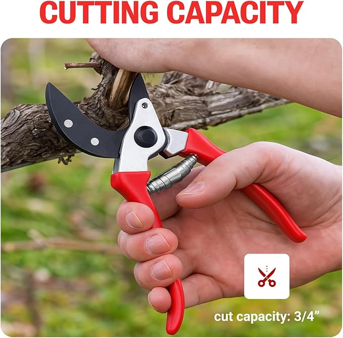 HortiSnip 8-Inch Bypass Pruning Shears, Professional Garden Shears with Sharp Steel Blade, Heavy Duty Pruners for Gardening, Plant Trimming, Cutting Stems & Branches
