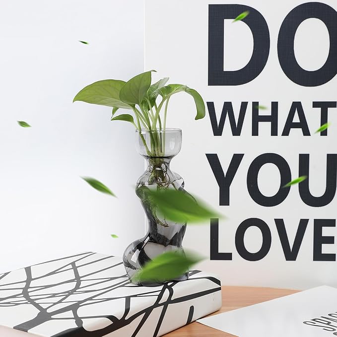 Propagation Vases for Plants Plant Propagation Jars Unique Body Avocado Vase Glass Planter Perfect for Seed Starting Water Rooting and Home Decor Gift for Father