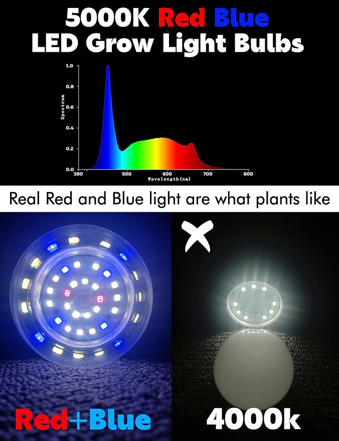 5000K Red Blue Full Spectrum A19 LED Grow Light Bulbs, E26 12W Sun Plant Light Bulb 100w Equivalent, Balanced Spectrum for Flowers, Seed Starting, Indoor Growing, Greenhouse, 2pack