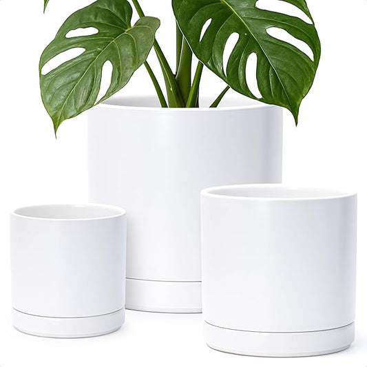 D'vine Dev 6 Inch & 8 Inch & 10 Inch, Set of 3 Round Ceramic Planter Pot with Drainage Hole and Saucer, White, 94-T-L-1