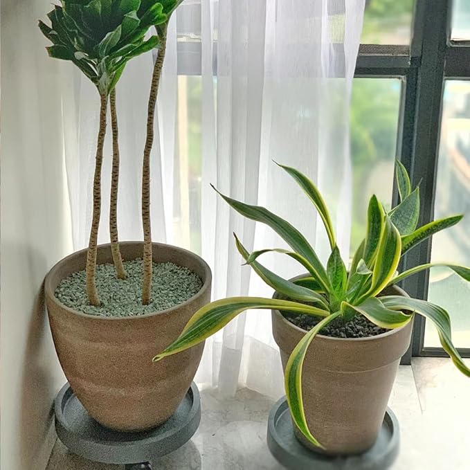 Succulents and Cactus Green Zeolite Rocks, Decorative Stones Pebbles for Indoor Plants, Bonsai, Fairy Gardening, Terrarium, 2lb