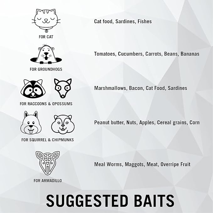 HOMESTEAD 2-Pack Live Animal Trap - Specialized for Raccoons, Opossums, Groundhogs, Skunks, Feral Cats, Squirrels - Heavy Duty Steel Traps, 1-Door, Green, Humane Catch & Release Animal Trap,89-302