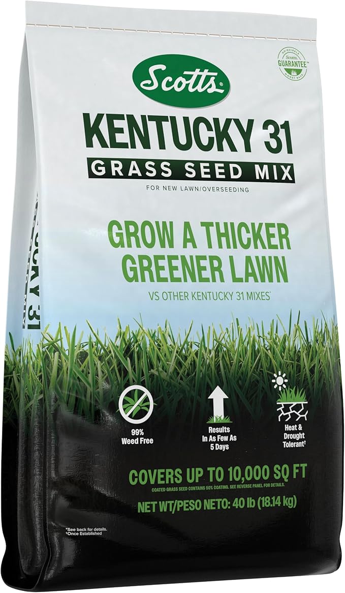 Scotts® Kentucky 31 Grass Seed Mix, for New Lawns or Overseeding, Results in as Few as 5 Days, 40 lbs.