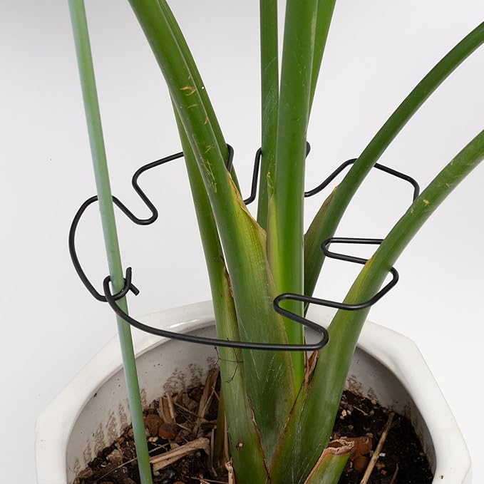 5PCS Monstera Plant Stem Support -7.3*6.25IN Adjustable Metal Stake for Climbing Plants, Durable Garden Support with Gentle Grips, Ideal for Indoor & Outdoor Use, Ideal Gift for Plant Lovers