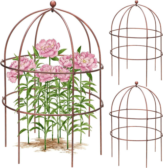 2 Pcs Jardin Bird Cage Plant Support 25" H Large Sturdy Grow-Through Flower Support Peony Cage Climbing Plant Support Trellis Sculptural Garden Decor for Perennial Flowers Vintage Gold