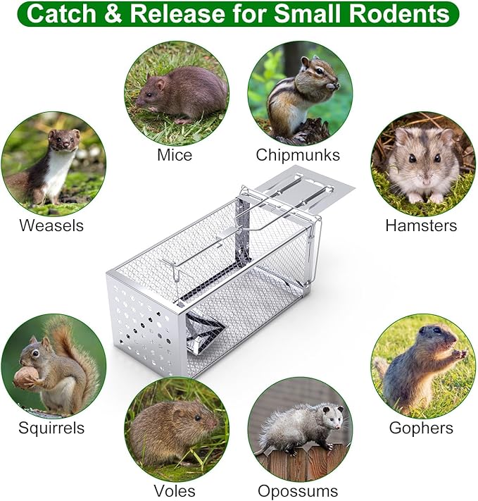 Humane Rat Trap, Single Door Metal Mouse Cage Traps and Other Small Live Animals Cage, Easy to Catch and Release, Work for Indoor Outdoor