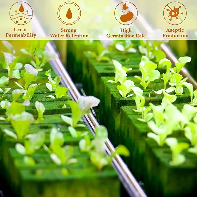 Legigo 1 Inch Rockwool Cubes Seed Starter Plugs for Hydroponics, RockWool Planting Grow Cubes for Hydroponic Tower Garden Soilless Cultivation Plants Germination Cutting Clone (4 Sheet, 200 Plugs)