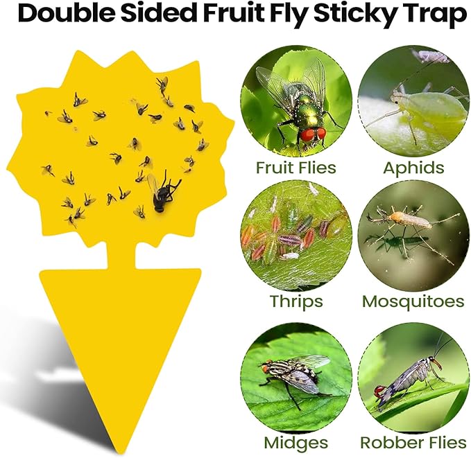 200 Sheets Fruit Fly Sticky Traps for Fruit Fly Gnat Trap for House Indoors Sticky Traps Catcher for Gnats Fungus Gnats Mosquito Catcher for Kitchen Outdoor Plants(Yellow)