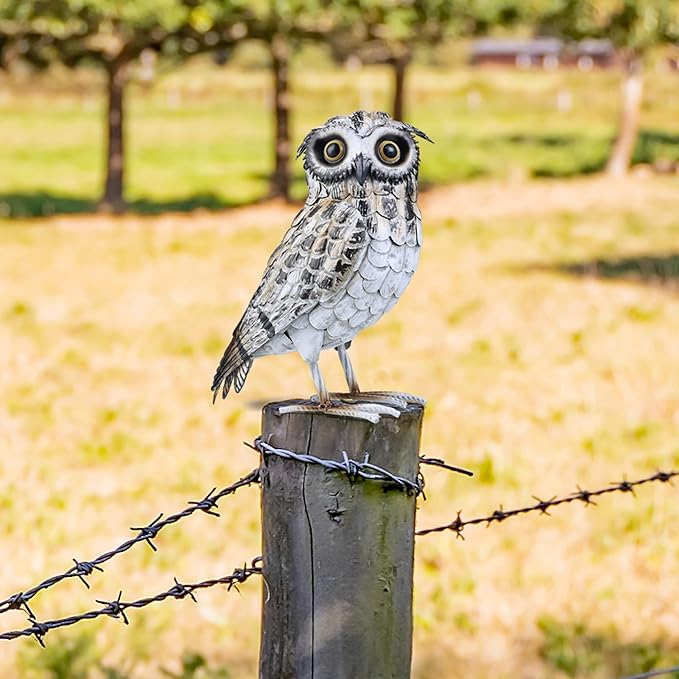 Shorayn Metal Owl Decor Garden Statue Outdoor Sculpture Yard Art for Patio Lawn Backyard Home Decoration Great Gifts