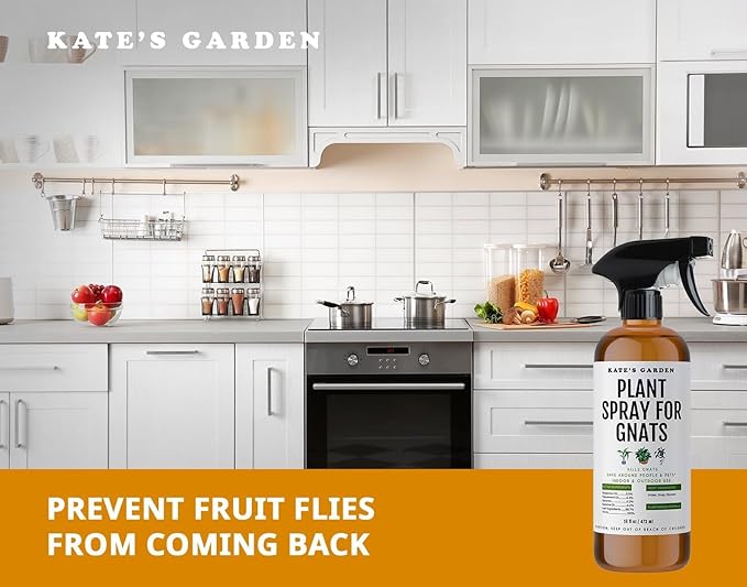 Kate's Garden Plant Spray for Insects & Getting Rid of Gnats. Fungus Gnat Killer & Bug Spray for Indoor Plants (16oz, Pet Safe, Non Toxic)