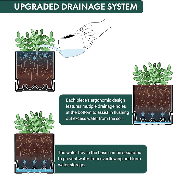 Phoenix Vine 6 Inch Planter Pot with Drainage Hole & Saucer, Deep Water Catch Tray, Straight Cylindrical Round Pot for Plants, Matte Black, Pack of 3, 23-C-S-3