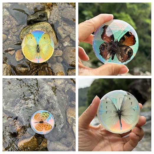 Real Butterfly Specimens, Resin Insect Specimens, Educational Bugs Specimen Set for Kids, Preschool Education, Biology, Insect Lovers (Butterfly Specimens)
