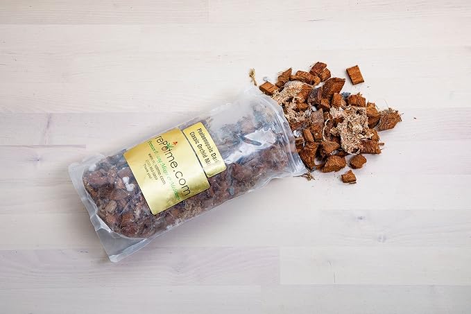 rePotme Orchid Starter Kit - Phalaenopsis Dark Classic - (Includes Orchid Potting Mix, Plus a 5 inch Orchid Pot, Flower Clip, and Plant Label)