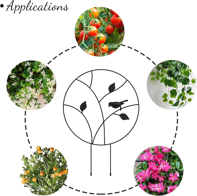Indoor Plant Trellis for Climbing Plants, Small Garden Trellis for Potted Plant Support Outdoor, Round Circle Trellis with Bird, 2 Pack Small Houseplant Metal Wire Trellis for Vine Ivy