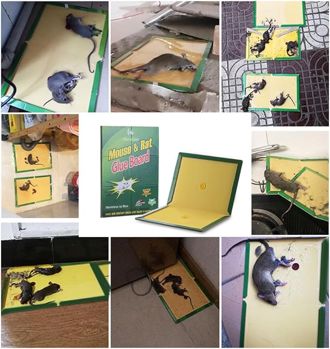 Kensizer 12-Pack Mouse Rat Glue Trap, Super Sticky Adhesive Glue Board Traps for Mice Rats Catches Indoor&Outdoor, Trampas para Ratones, Extra Strength Heavy Duty Large Size Pads