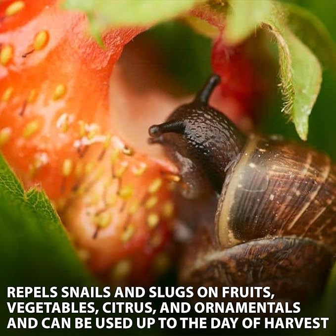 Monterey All Natural Snail & Slug Spray, for Organic Gardening, RTU 32 oz