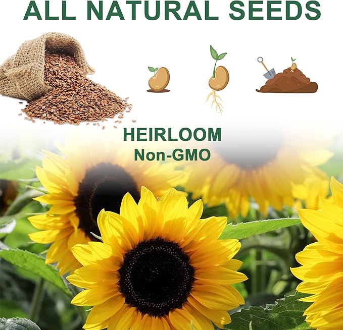 Strawberry Seed Pod Kit, 8 Pod Kit (Include Seed Marigold/Dwarf Sunflower/Shameplant/Cherry Tomato/Strawberry) Seed Pod Kit Compatible with All Indoor Hydroponics