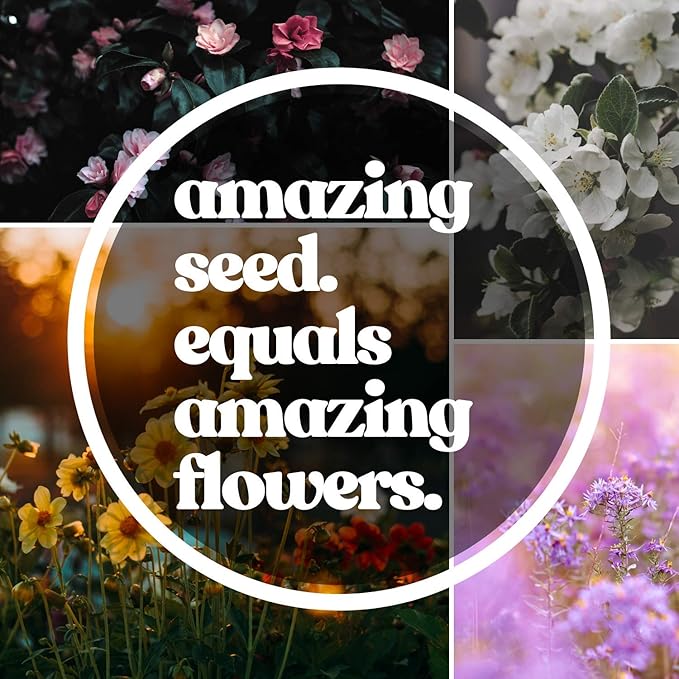 Pollinator Wildflower Seeds Bulk – 5 lb, 3.2 Million+ Seeds – 23 Variety Mix for Hummingbirds & Butterflies – Non-GMO Annual & Perennial Flower Seed for Planting