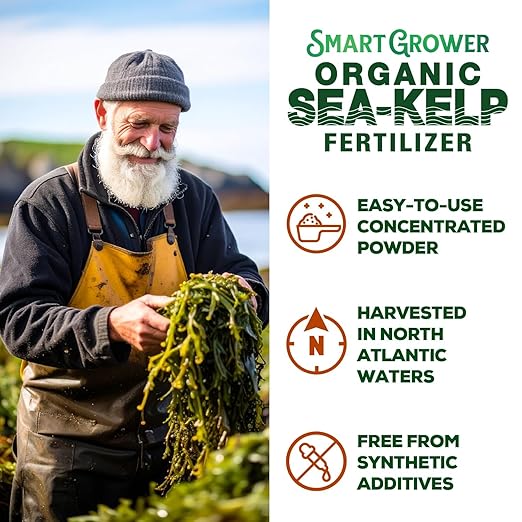 Organic Sea Kelp Fertilizer for Plants – Water-Soluble – Makes 200 Gallons – Kelp Meal Concentrate Plant Food – for Indoor Gardens, Hydroponics, Vegetables, Houseplants - Smart Grower - 8oz Bag