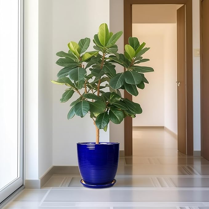 Ceramic Planter Pot - 12 Inch Pot for Plants Large Indoor Plant Pot with Drainage Hole and Saucer Fluted Round Planter for Outdoor Plants Flower Pot for Home Garden Blue