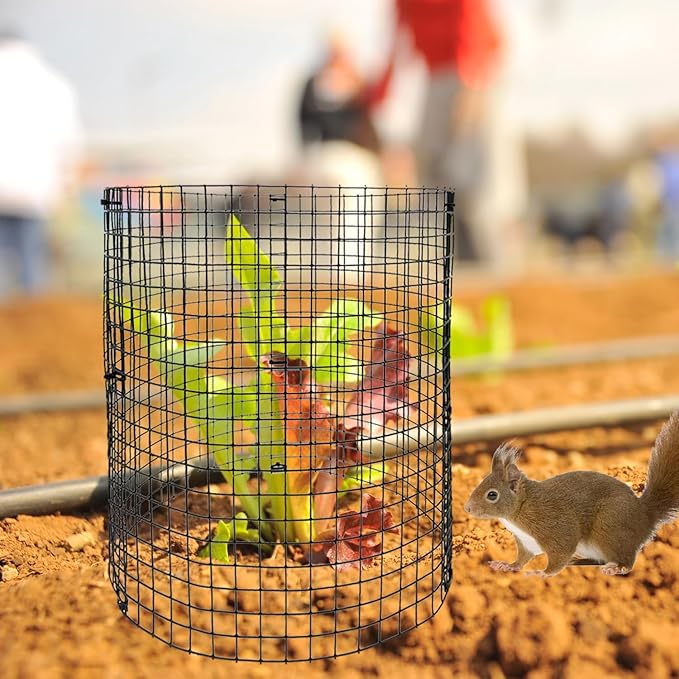 30Pcs 10 Pack Wire Plant Protectors Circle Wire Plant Cages Mesh Plant Cage Chicken Wire Cloche with 30 Ground Stakes and 200 Ties Protect Plants, Garden,Shrubs and Vegetables from Animals, 12x12 inch