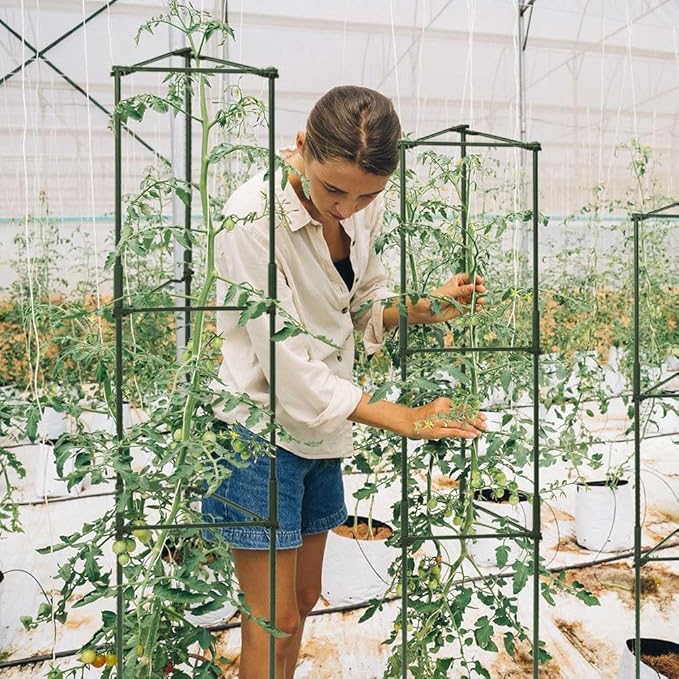 3 Package up to 48in Tomato cage Garden Grid Plant Support Posts with Adjustable Tomato cage Vegetable Grid (3pack)