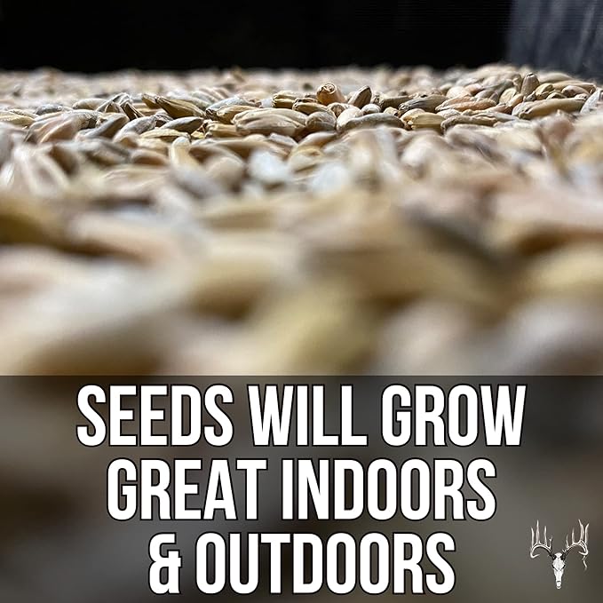 Mother Fodder Blend, 12LB EcoPack, Grain Seeds for Bird Food & Growing Fresh Green Grass Sprouts to Feed Pet Rabbits, Cows, Horse, Chicken, Goat, Sheep, Quail, Dog, Cat, Duck & Tortoise