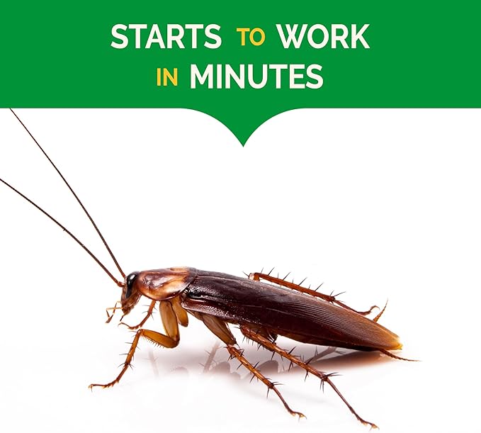 Hot Shot Ultra Clear Roach & Ant Insects Gel Bait , 2.5 oz