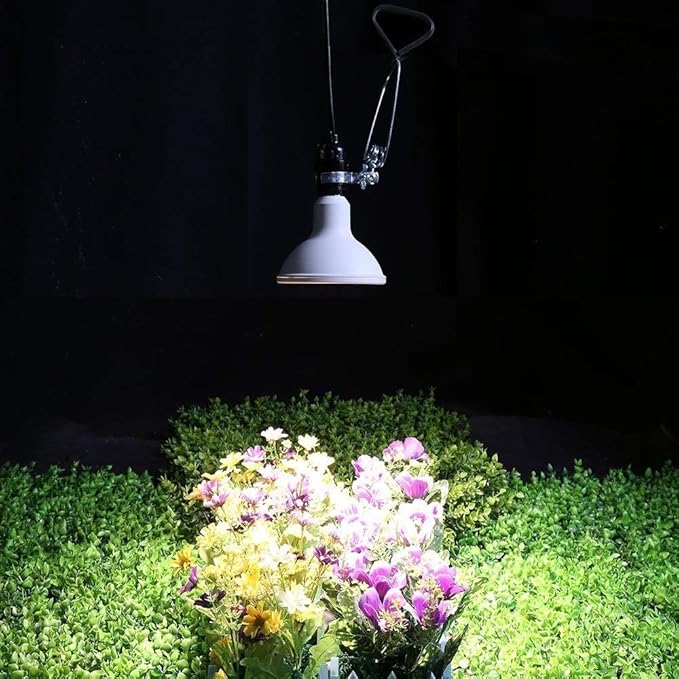 Simple Deluxe Plastic HIWKLTCLAMPSOCKETX6 6-Pack 18/2-Gauge Brooder and Heat Clamp Lamp with Bakelite Socket 150 Watt 6 Feet Cord