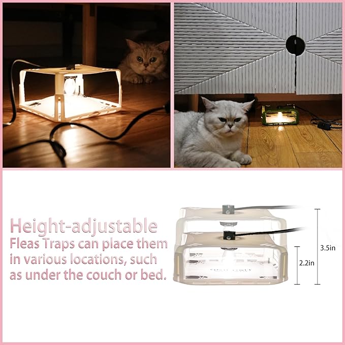 Flea Traps for Inside Your Home 2 Packs, Flea Trap with Light for Indoor Bed Bug, Flea Killer Pest Control, Non Toxic & Harmless, Friendly to Pets & Kids, with 6 Sticky Refills and 6 Lightbulbs