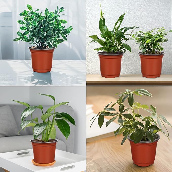 Augshy 40 Pcs 6" Plastic Plant Nursery Seed Starting Pots for Indoor Outdoor Succulent Seedling Cutting Transplanting