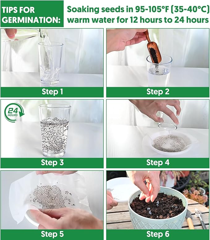 1,500+ Tomato Seeds, Heirloom Vegetable Seed for Planting Indoor Outdoor, 10 Varieties Salad Tomato Seeds Garden Hydroponic Kit, Non-GMO Home Hydroponic Fresh Food Veggie Supply