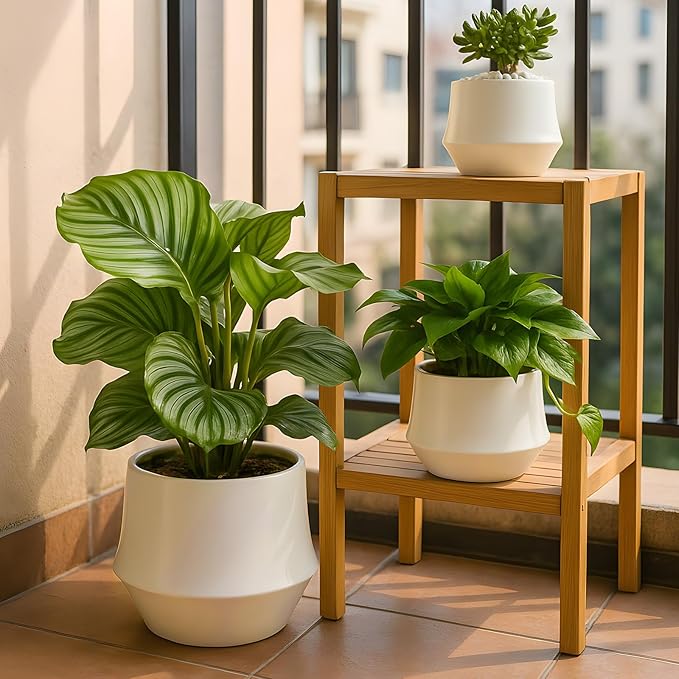 OXART Ceramic Plant Pots, 10/7.5/5.1 inch Planters Pots for Plants with Drainage Holes, Set of 3 Modern Round Decor Flower Pot for Plants Lilies, Cacti, Succulents, Snakes, and Pothos (Yellow)