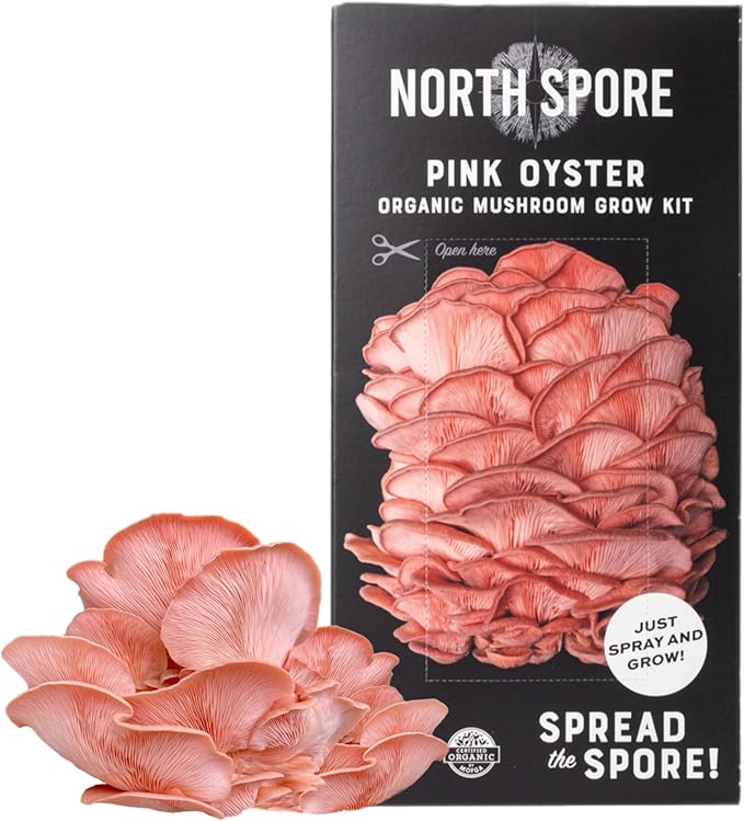 North Spore Organic Pink Oyster Mushroom Spray & Grow Kit (4 lbs) | USDA-Certified Organic, Non-GMO, Beginner-Friendly & Easy to Use | Handmade in Maine, USA