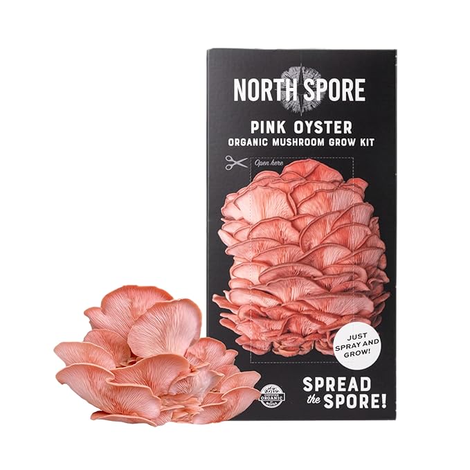 (3-Pack) North Spore Organic Blue, Pink, and Golden Oyster Mushroom Spray & Grow Kits (4 lbs each) | USDA-Certified Organic, Non-GMO, Beginner-Friendly & Easy to Use | Handmade in Maine, USA