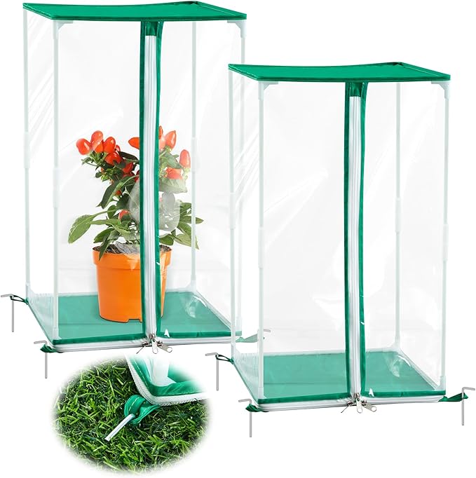 Nuanchu 2 Pcs Mini Greenhouse PVC Portable Greenhouse 11.8 x 11.8 x 19.7 Inch with Ground Nails Mini Indoor Outdoor Warm House for Gardening Plants Flowers