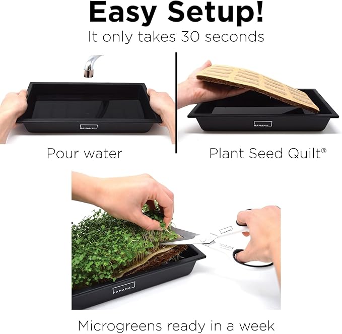 HAMAMA Home Microgreens Growing Kit - Cilantro Sprouts Growing Kit, Sprouting Kit - Grow Your Own Micro Greens Indoor, Micro Greens Starter Kit with Microgreens Tray, Microgreen Seeds【Cilantro Seeds】