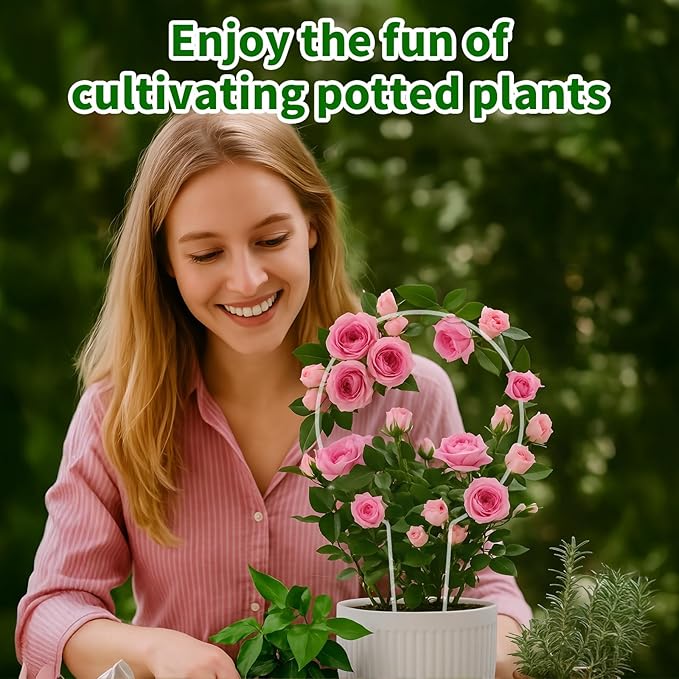 2-Pack Round Acrylic Plant Trellis for Potted Plants Indoor Outdoor - Small Climbing Plant Trellis Support for Hoya, Pothos, Vine, Ivy, Monstera, Flower, Philodendrons, Dischidia