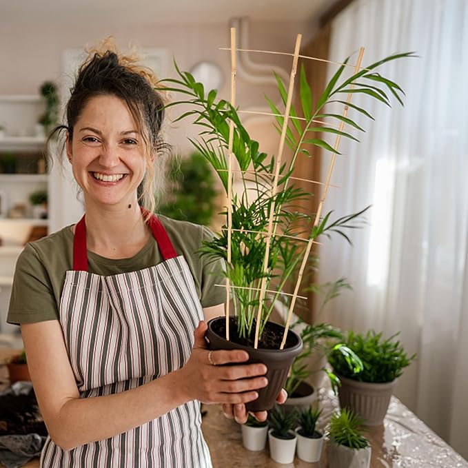 3PCS Fan-Shaped Bamboo Trellis, 2Ft Plant Trellis Indoor, Small Trellis for Potted Plants Indoor, Climbing Plants, Vegetables