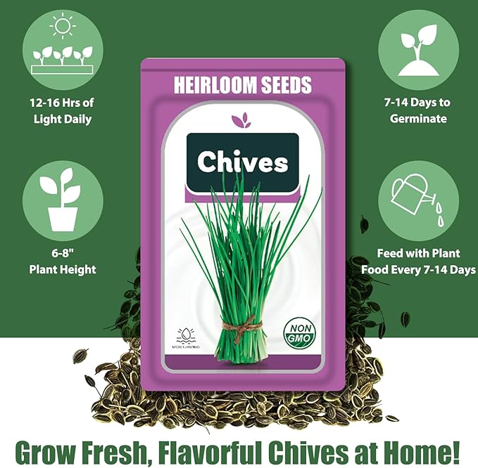 Chives Seed Pods for All Hydroponics Growing Systems, 12 Pods Herb Kit with 200+ Seeds of Chives, Grow Your Own Herb Garden at Home