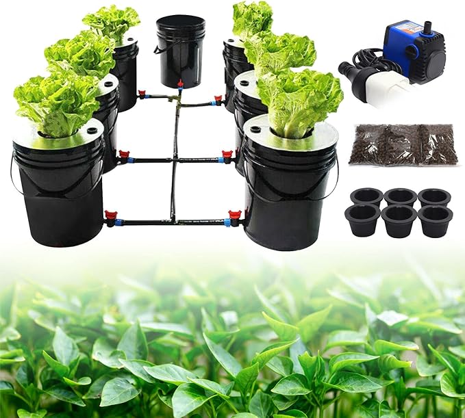 DWC Hydroponics Grow System, 6 Hydroponics Grow Bucket 20L DWC Recirculating Deep Water Culture 6 Air Stones for Indoor/Outdoor Leafy Vegetables
