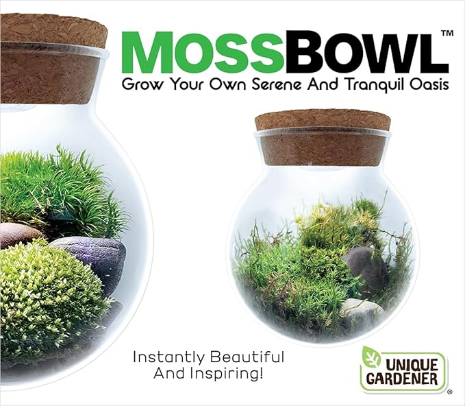 Create Your Serene Moss Sanctuary with The Unique Gardener Moss Bowl Terrarium Kit with LED Light - Complete Terrarium Supplies, Indoor Plants for Stress Relief & Air Purification!