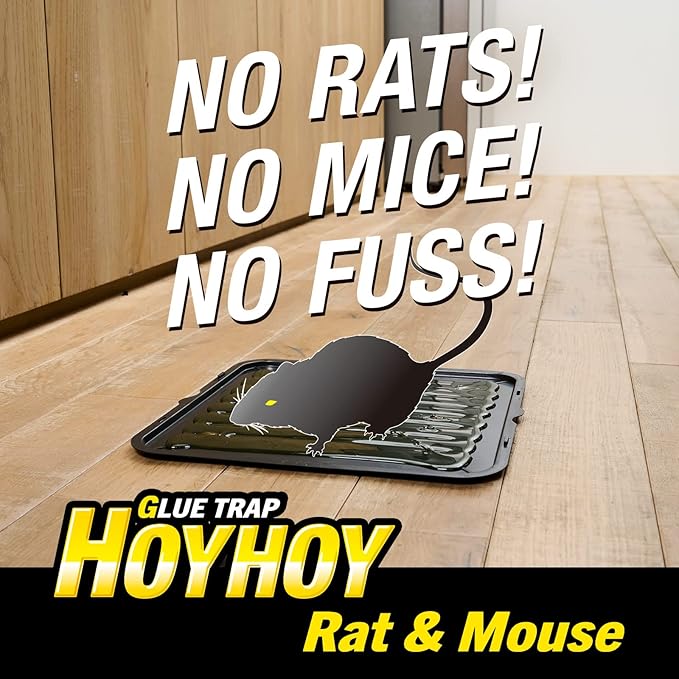 HOY HOY Jumbo Size Rat & Mouse Indoor/Outdoor Glue Trap 2 Large Traps [1 Pack] - Heavy-Duty Professional Strength Ready-to-Use Pest Control, Kids & Pets Friendly Household Pests & Insects