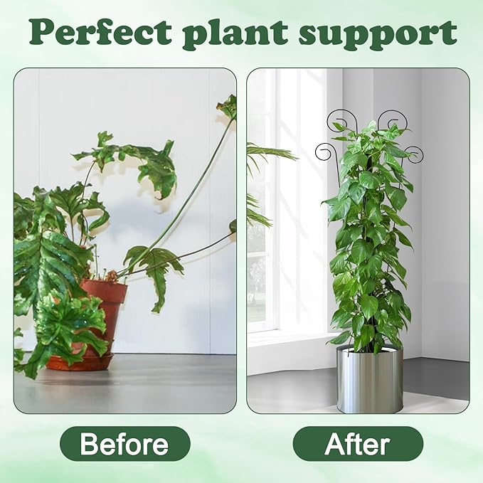 4 Pack Metal Trellis for Climbing Potted Plants Indoor Outdoor - 30 Inch Rustproof Garden Stakes, Plant Support for Monstera Pothos Ivy Hoya Vines, Potted Houseplant (4pack)