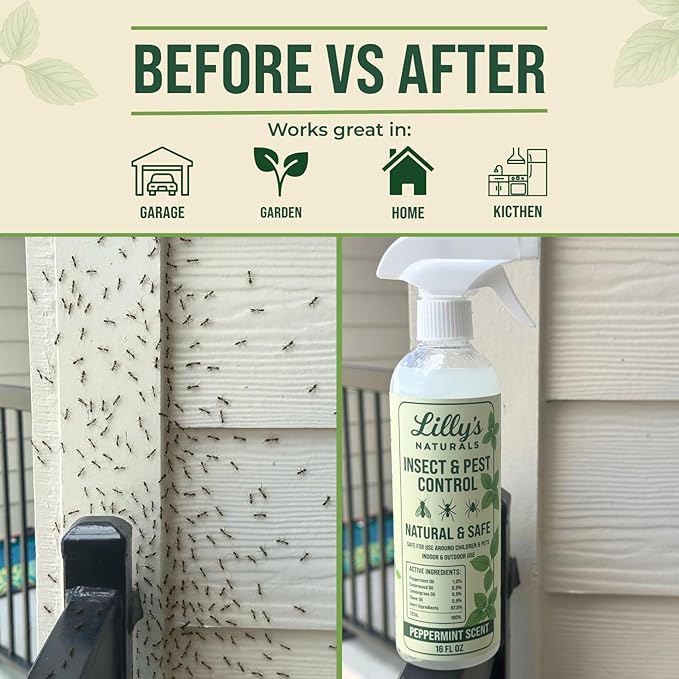 Peppermint Oil Spray for Bugs | Insect Repellent for Indoor & Outdoor Pest Control | Bug, Spider, Rodent, Ant Killer | Natural Plant-Based Pet Friendly Bug Repellent | Lilly's Naturals, 16 oz
