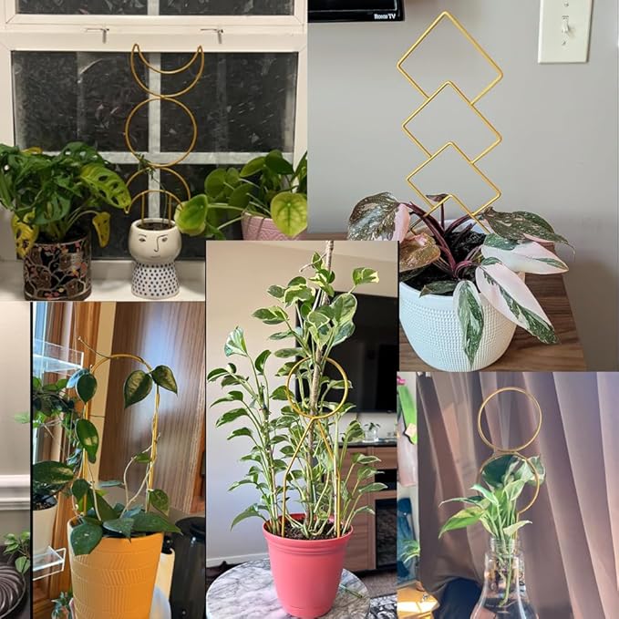 8 Packs Gold Metal Wire Trellis for Potted Plants, Climbing Plants, Indoor Houseplant Lover, Hoya, Pothos, Flower, Monstera