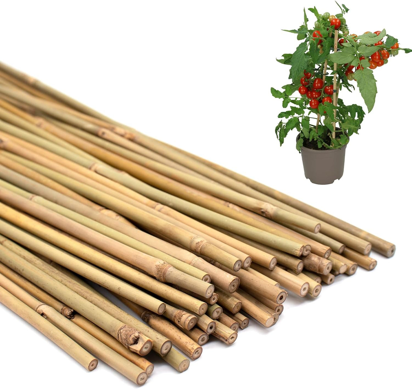 50PCS Plant Stakes,16 Inch Natural Bamboo Stakes,Garden Stakes for Indoor and Outdoor Plants,Poles Sticks for Tomatoes,Beans,Flowers,Trees Potted and Climbing Plants