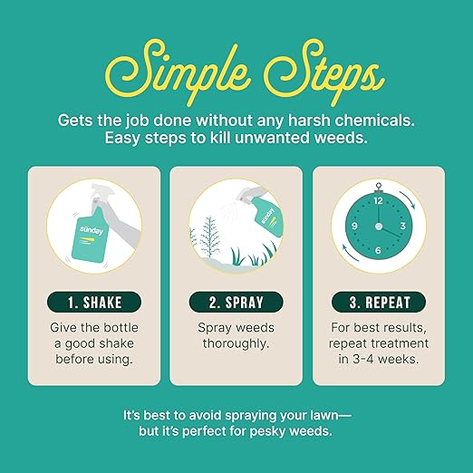 Sunday Weed Warrior, 32oz, 2 Pack - Grass & Weed Killer - Organic, Ready-to-Use Weed Killer Spray - Herbicide Spot Treatment - Kills Weeds, Grass, Algae and Moss