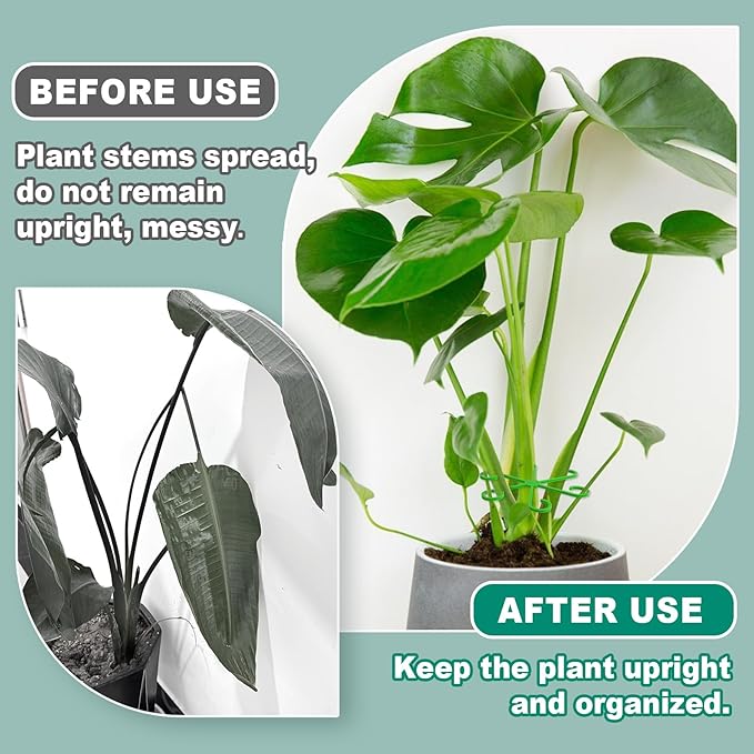 8PCS Plant Stem Support, 4 Sizes Climbing Houseplant Stem Holders, Plastic Reusable Flower Trellis Stem Hook Plant Care Growth Accessories for Flower Plants Indoor Outdoor